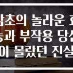 감초의 놀라운 효능과 부작용 당신이 몰랐던 진실