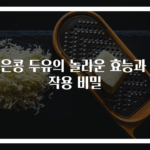검은콩 두유의 놀라운 효능과 부작용 비밀