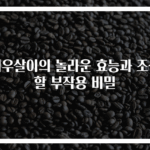 겨우살이의 놀라운 효능과 조심할 부작용 비밀