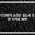 겨우살이의 놀라운 효능과 조심할 부작용 비밀