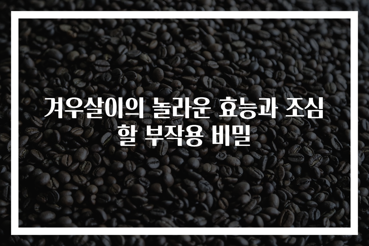 겨우살이의 놀라운 효능과 조심할 부작용 비밀
