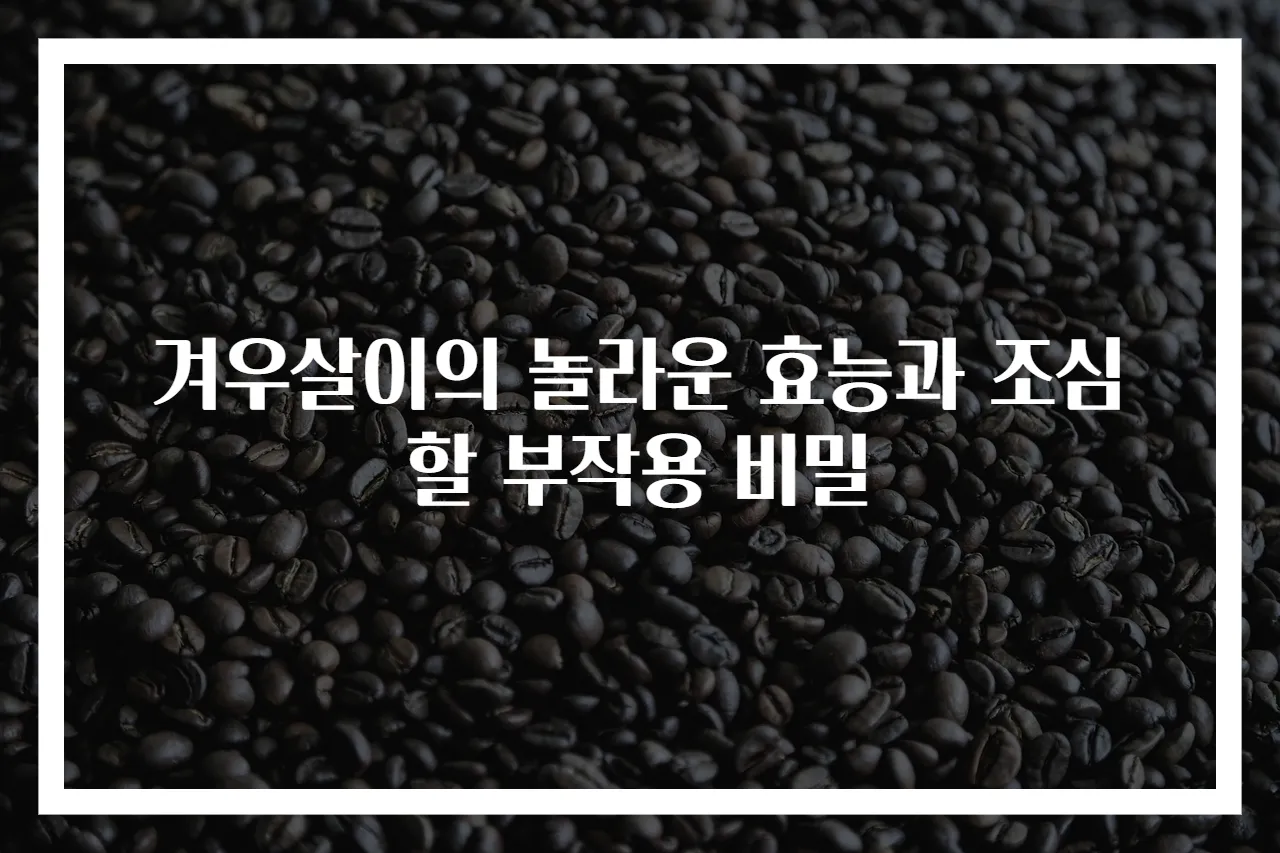 겨우살이의 놀라운 효능과 조심할 부작용 비밀
