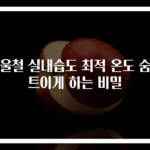 겨울철 실내습도 최적 온도 숨통 트이게 하는 비밀