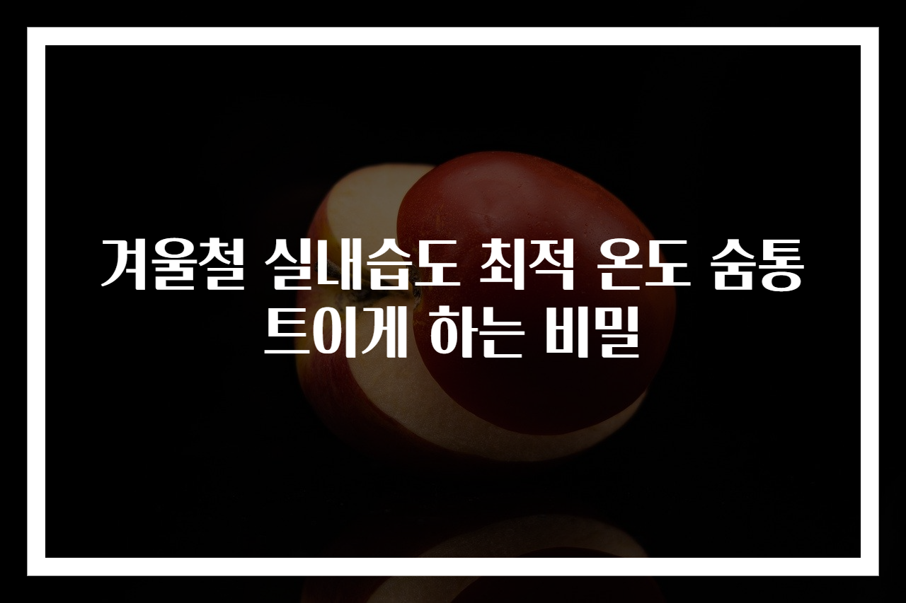 겨울철 실내습도 최적 온도 숨통 트이게 하는 비밀