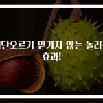 계단오르기 믿기지 않는 놀라운 효과!