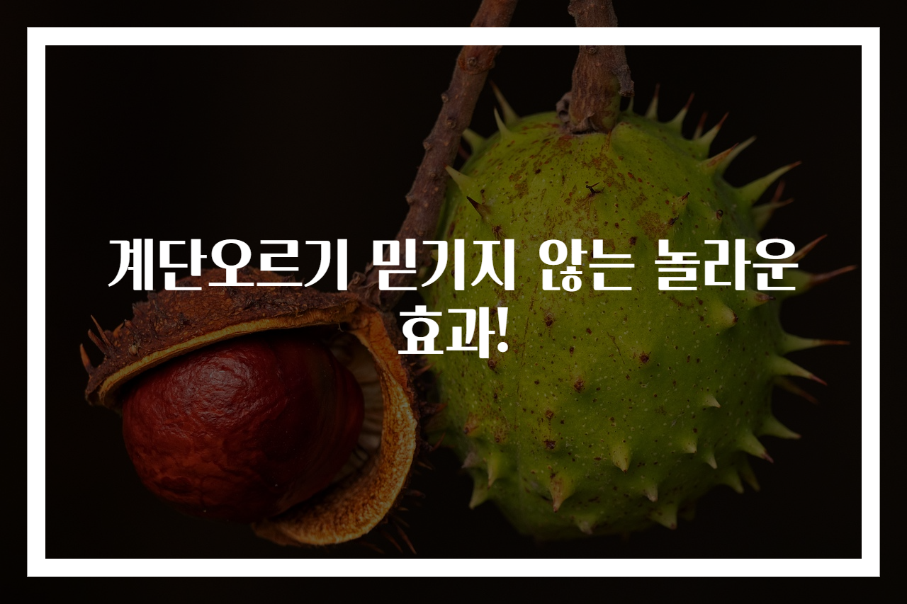 계단오르기 믿기지 않는 놀라운 효과!