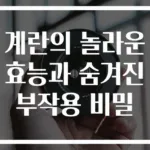 계란의 놀라운 효능과 숨겨진 부작용 비밀