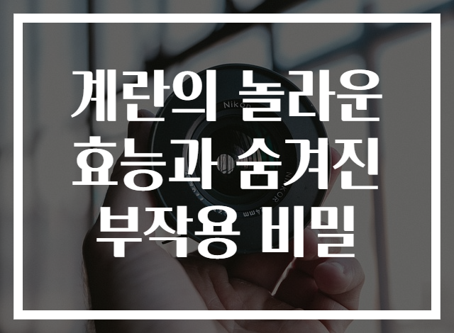 계란의 놀라운 효능과 숨겨진 부작용 비밀