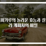 계피가루의 놀라운 효능과 칼로리 계피차의 비밀
