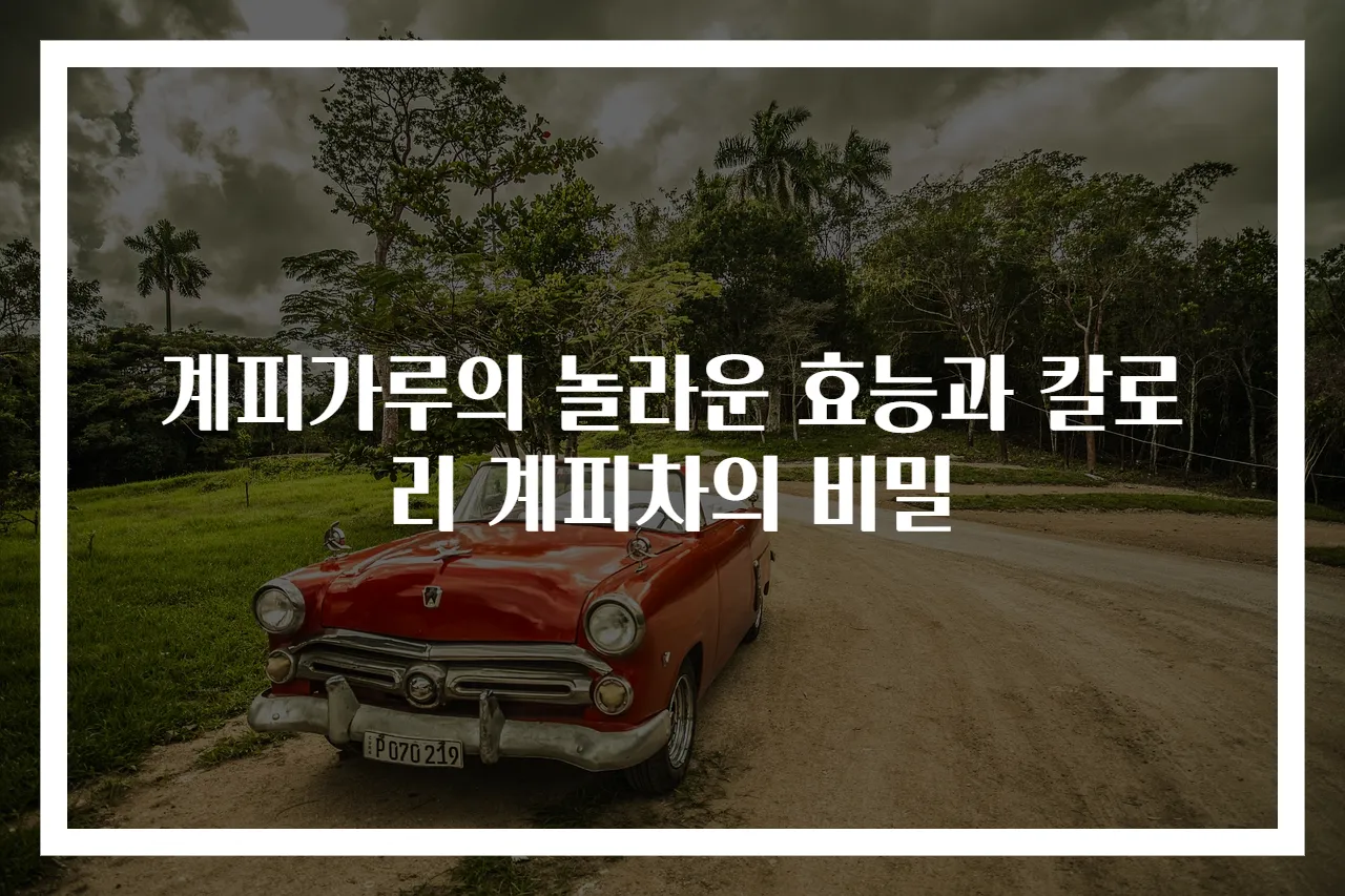 계피가루의 놀라운 효능과 칼로리 계피차의 비밀
