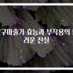 고구마줄기 효능과 부작용의 놀라운 진실