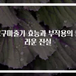 고구마줄기 효능과 부작용의 놀라운 진실