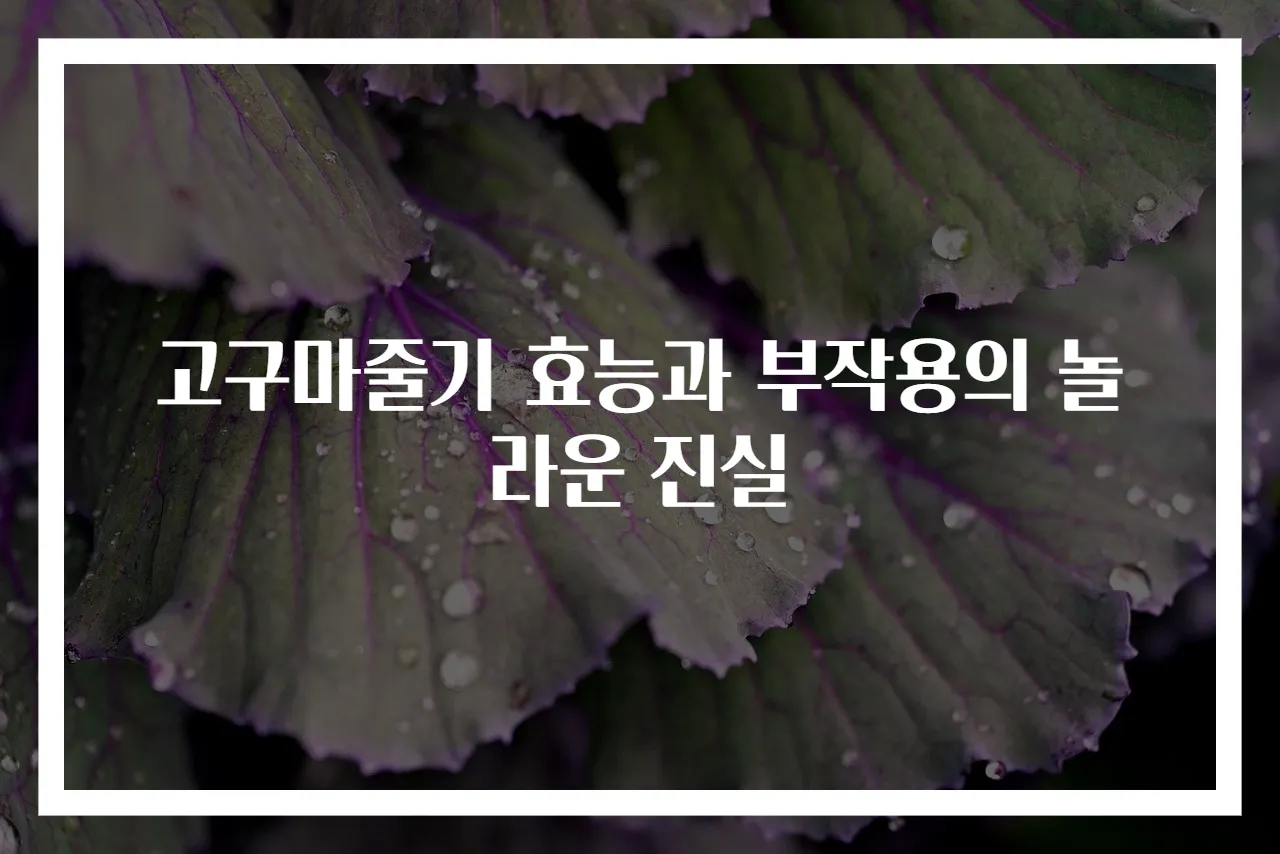 고구마줄기 효능과 부작용의 놀라운 진실