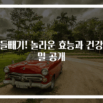 고들빼기! 놀라운 효능과 건강비밀 공개