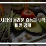 고사리의 놀라운 효능과 부작용 비밀 공개