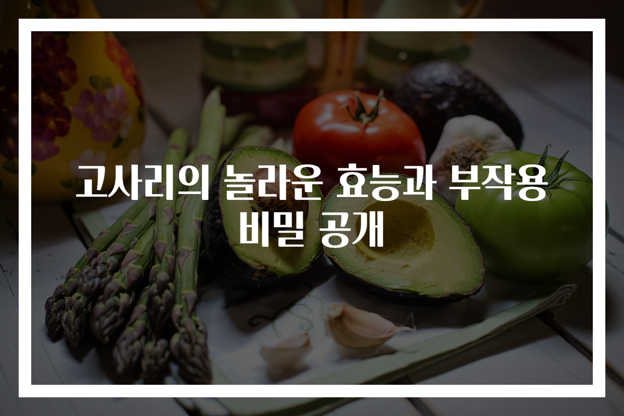 고사리의 놀라운 효능과 부작용 비밀 공개