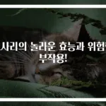 고사리의 놀라운 효능과 위험한 부작용!