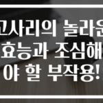 고사리의 놀라운 효능과 조심해야 할 부작용!