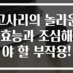 고사리의 놀라운 효능과 조심해야 할 부작용!