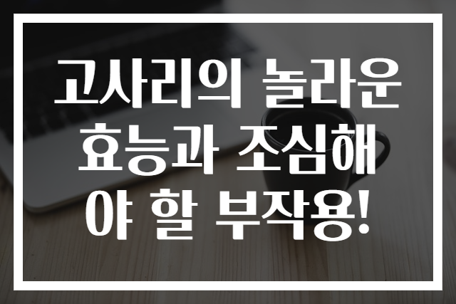 고사리의 놀라운 효능과 조심해야 할 부작용!