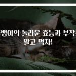 골뱅이의 놀라운 효능과 부작용 알고 먹자!