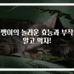 골뱅이의 놀라운 효능과 부작용 알고 먹자!