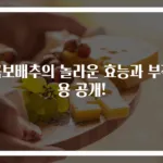 곰보배추의 놀라운 효능과 부작용 공개!
