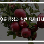 과호흡 증상과 원인 즉시 대처법!