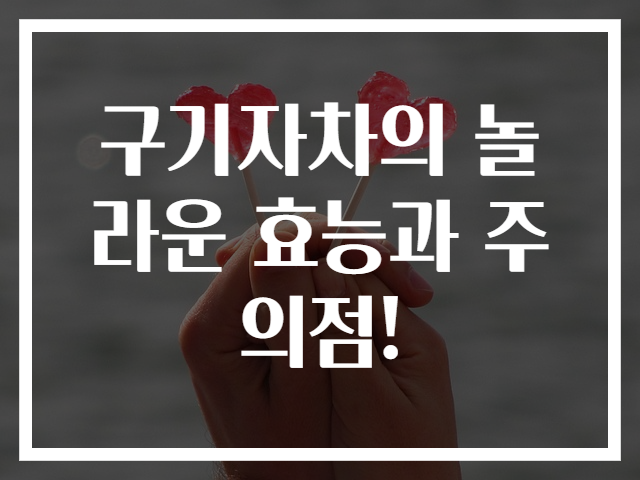 구기자차의 놀라운 효능과 주의점!