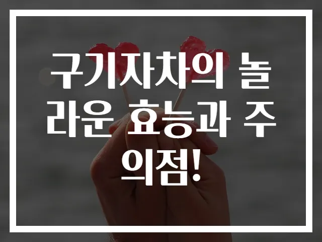 구기자차의 놀라운 효능과 주의점!
