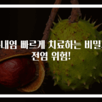 구내염 빠르게 치료하는 비밀과 전염 위험!