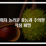 국화차 놀라운 효능과 주의할 부작용 비밀