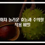 국화차 놀라운 효능과 주의할 부작용 비밀