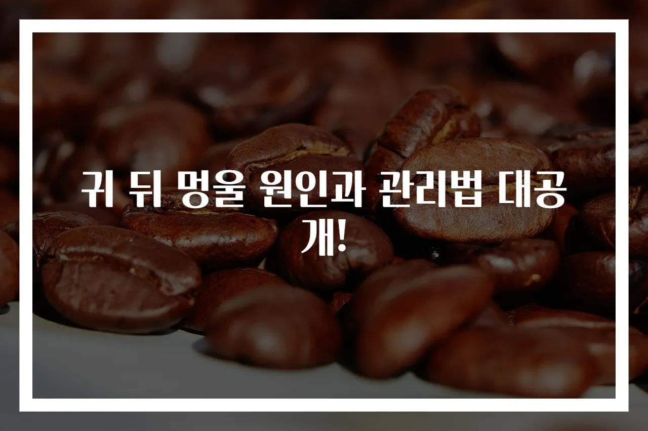 귀 뒤 멍울 원인과 관리법 대공개!