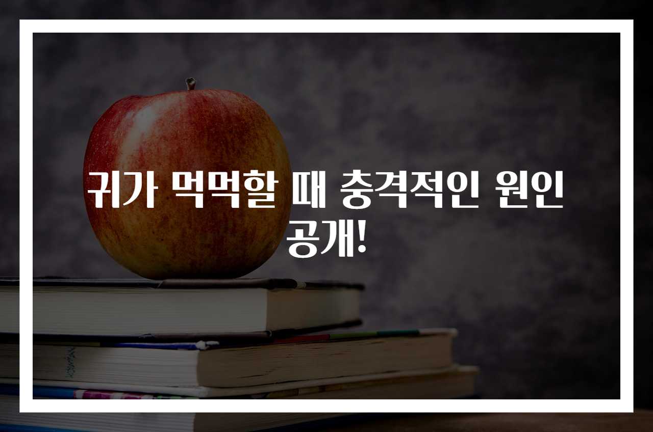 귀가 먹먹할 때 충격적인 원인 공개!
