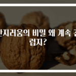 귀간지러움의 비밀 왜 계속 간지럽지?