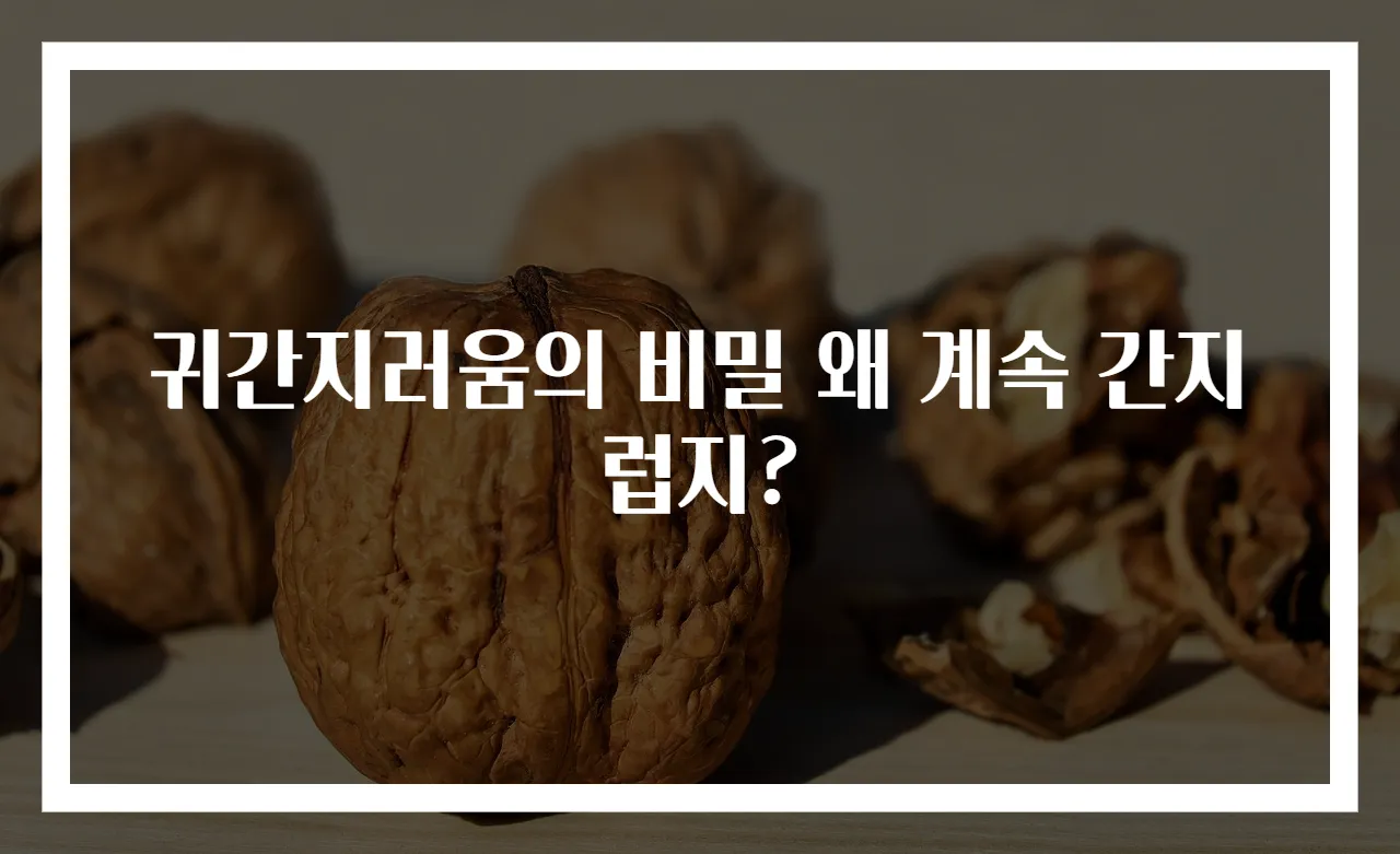 귀간지러움의 비밀 왜 계속 간지럽지?
