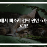 귀에서 삐소리 깜짝 원인 6가지 공개!