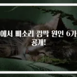 귀에서 삐소리 깜짝 원인 6가지 공개!