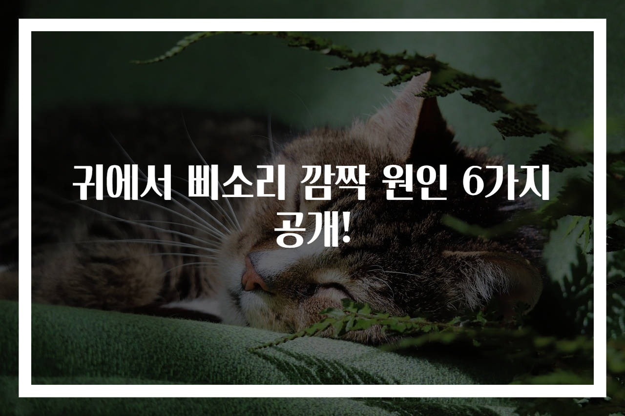 귀에서 삐소리 깜짝 원인 6가지 공개!