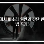 귀에서 삐소리 원인과 간단 관리법 공개!