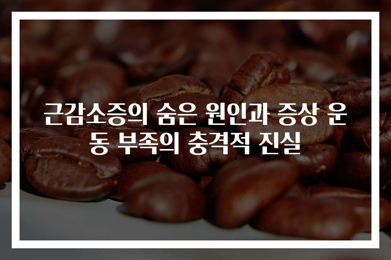 근감소증의 숨은 원인과 증상 운동 부족의 충격적 진실