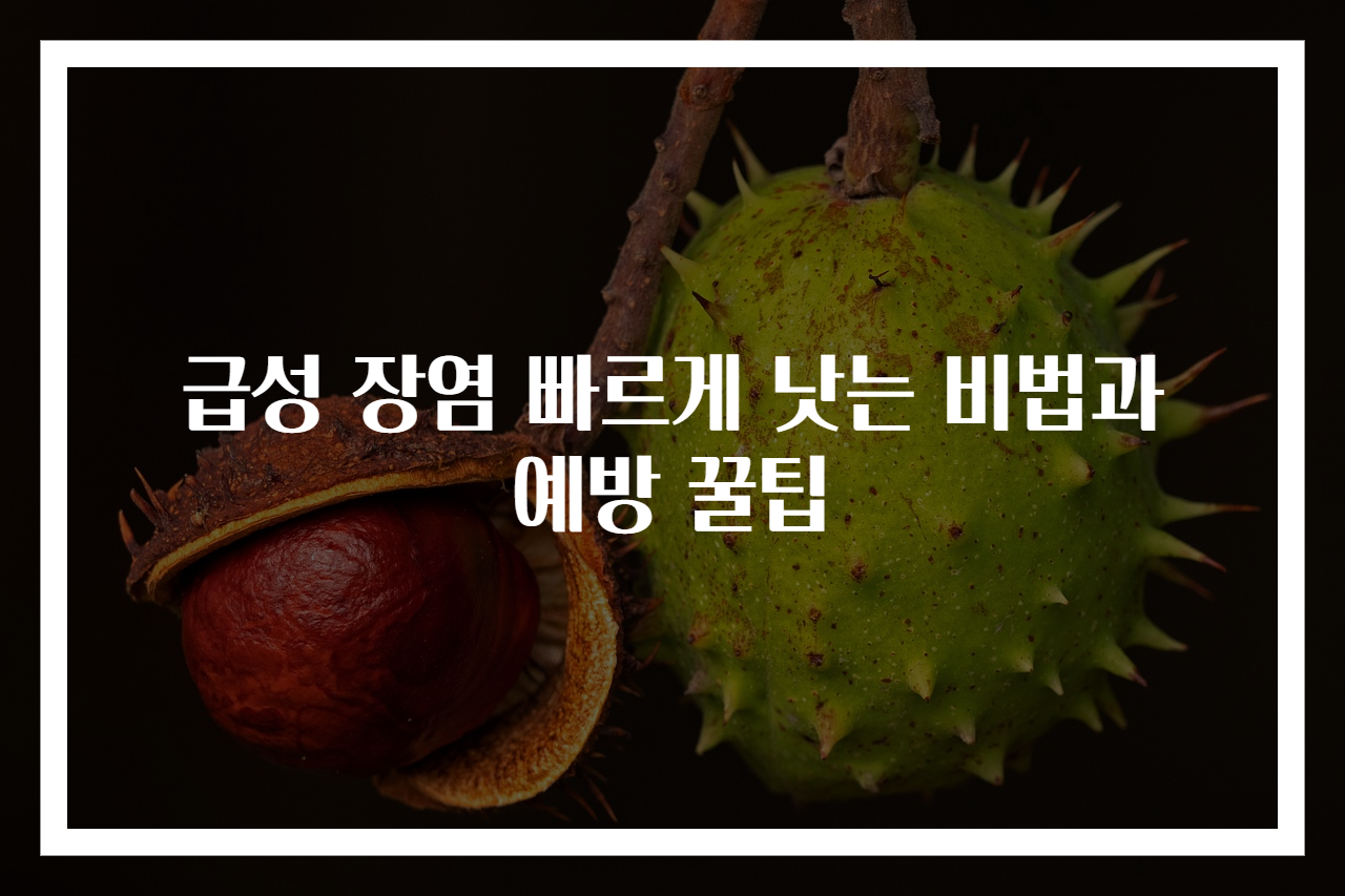 급성 장염 빠르게 낫는 비법과 예방 꿀팁