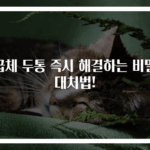 급체 두통 즉시 해결하는 비밀 대처법!