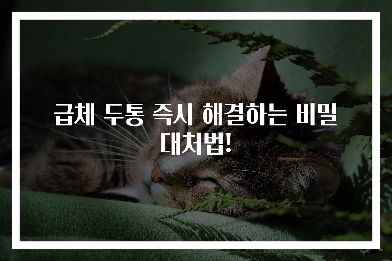 급체 두통 즉시 해결하는 비밀 대처법!
