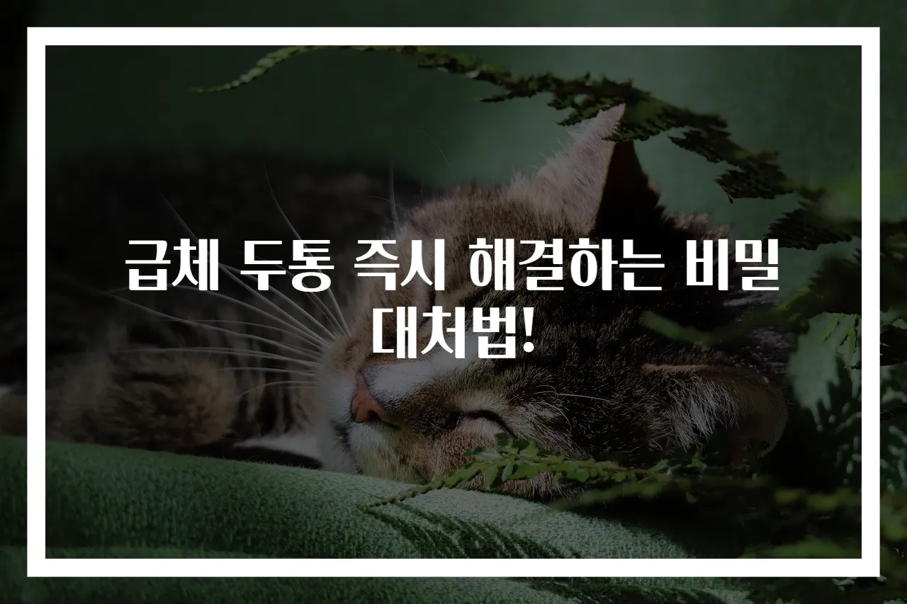 급체 두통 즉시 해결하는 비밀 대처법!