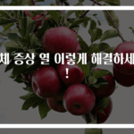 급체 증상 열 이렇게 해결하세요!
