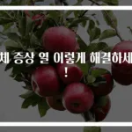 급체 증상 열 이렇게 해결하세요!