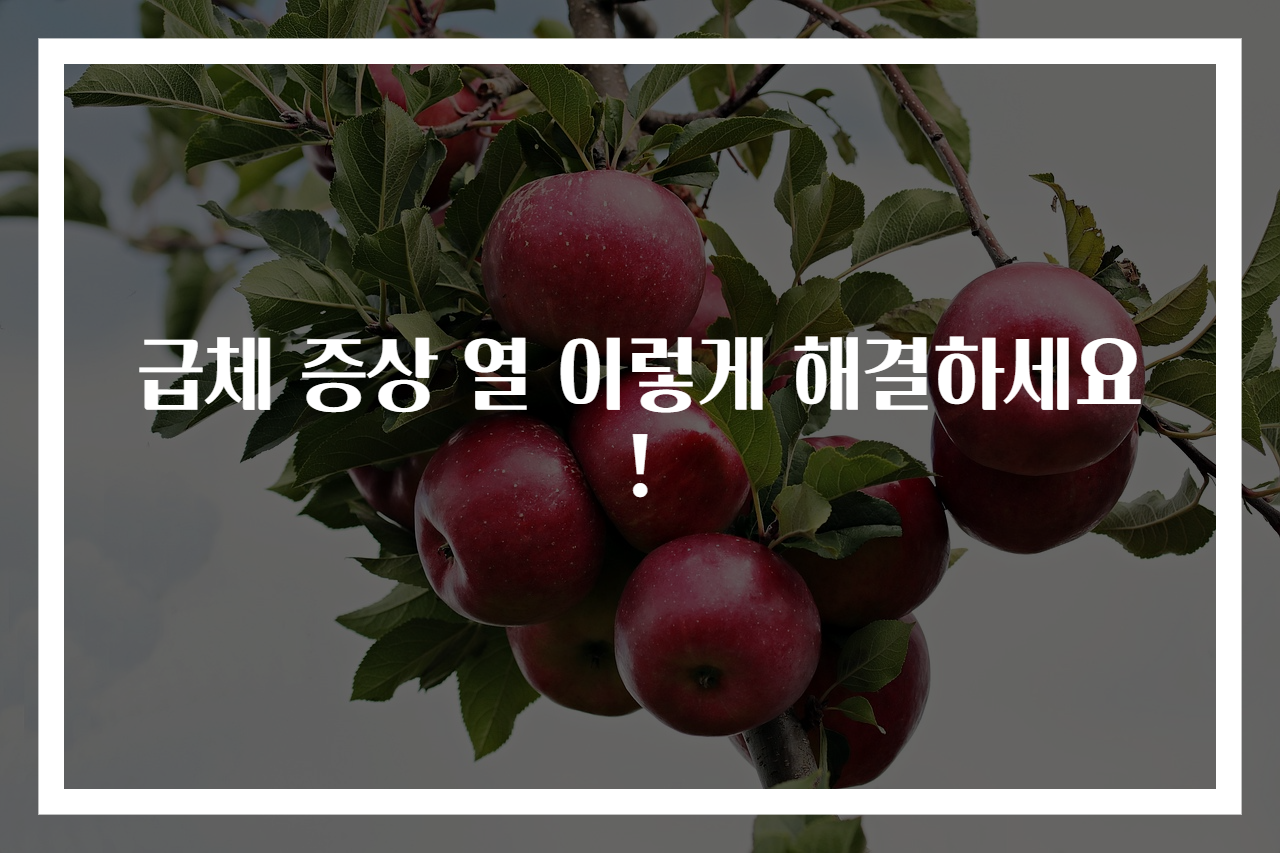 급체 증상 열 이렇게 해결하세요!