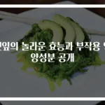 깻잎의 놀라운 효능과 부작용 영양성분 공개